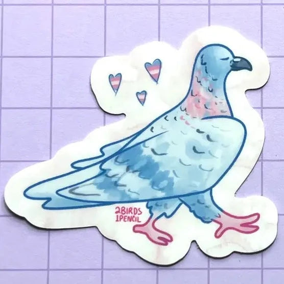 Trans Pride Pigeon Sticker